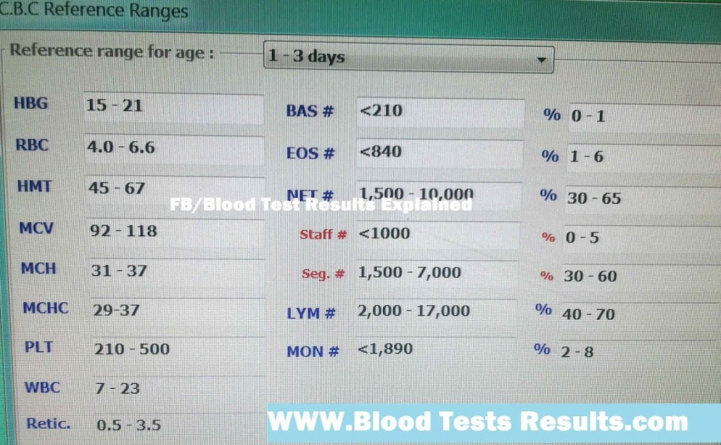 cbc blood test results and meaning pregnancy