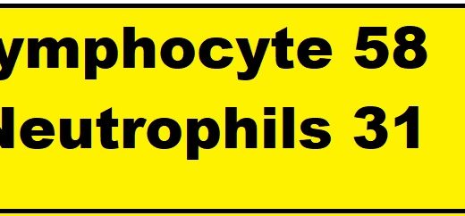 lymphocyte count 58 and Neutrophils count 31
