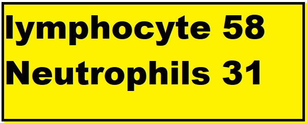 lymphocyte count 58 and Neutrophils count 31