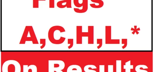 logo all flags on results