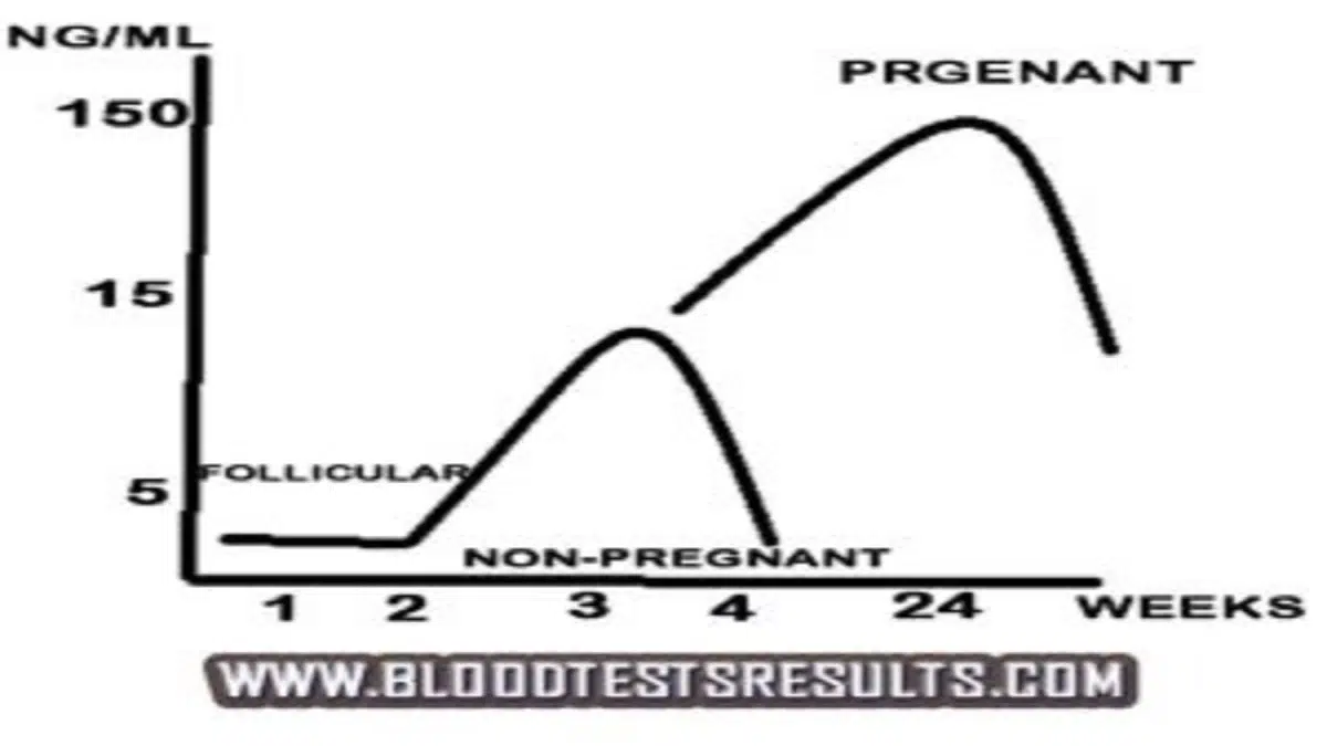 progesterone-levels-chart pregnancy